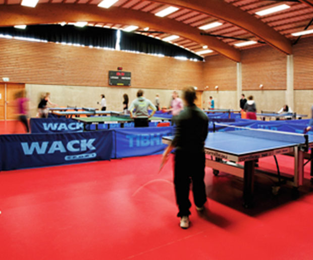 Tarkett Table Tennis And Badminton Solutions