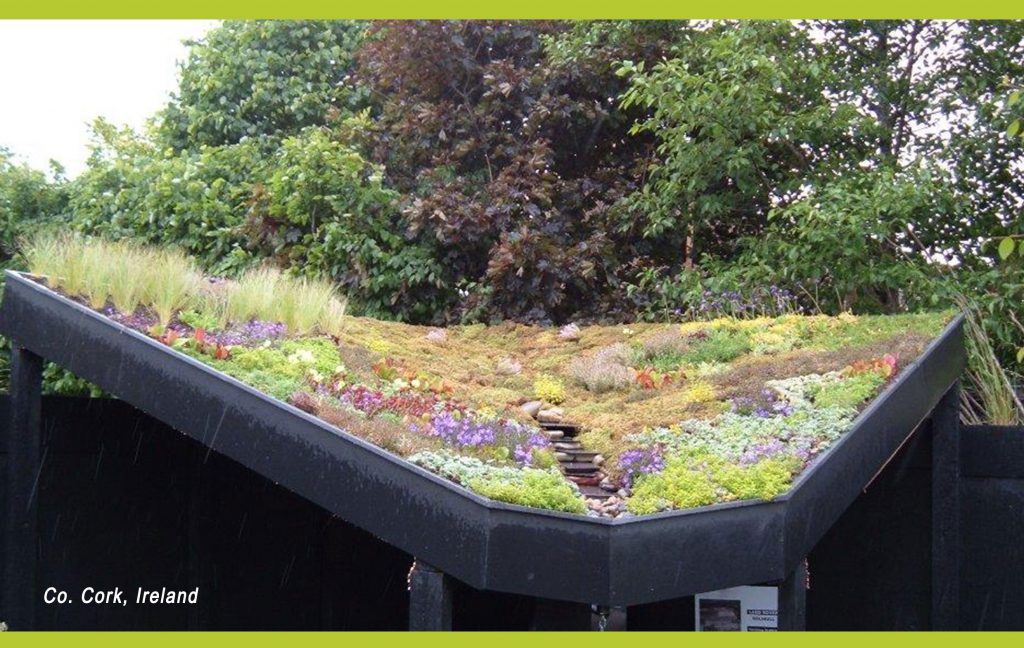 RENOLIT ALKORGREEN featured in this issue of Architecture Ireland Magazine