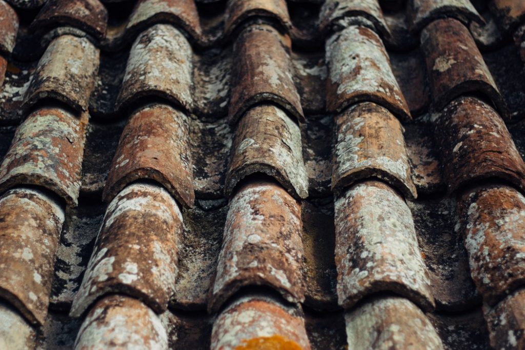 How To: Clean and Maintain a Roof
