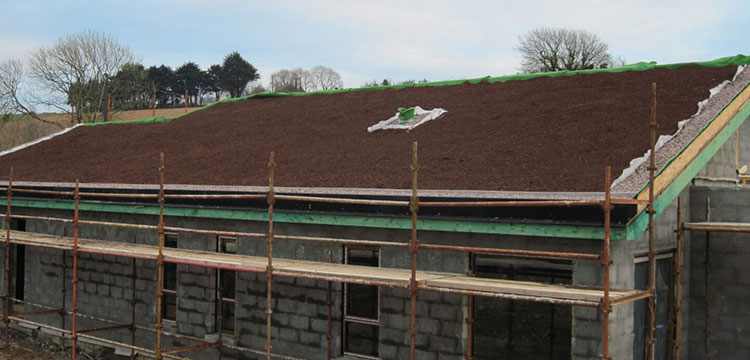 Green Roof Belgooly Detail - Installation