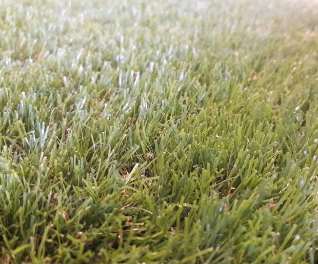 VIRGO Artificial Landscape Grass 38 mm