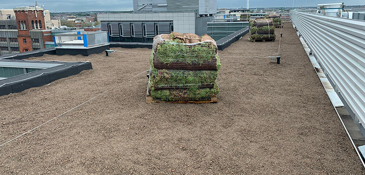 bishops square office development green roof installation
