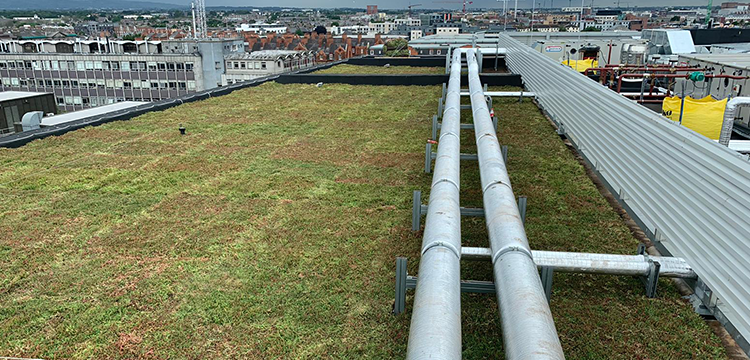 Green Roof on Office Development