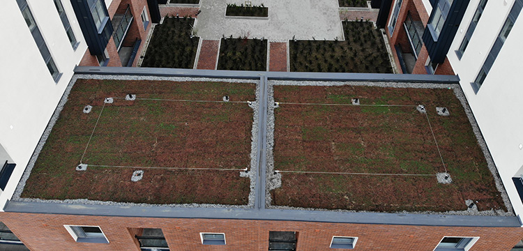 Hansfield Wood Residence Pluvitec Roof-roof walkability
