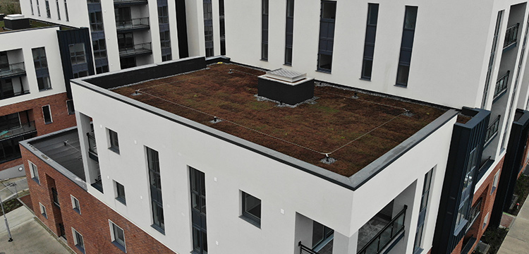 Hansfield Wood Residence – Pluvitec Roof