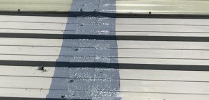 Liquiflex Refurbishment - Corrosion - Roof