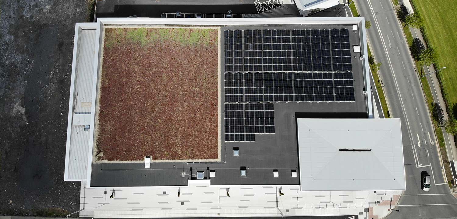 Pluvitec Commercial Green Roof Project - Supertec APP Modified Bituminous Waterproofing Membrane