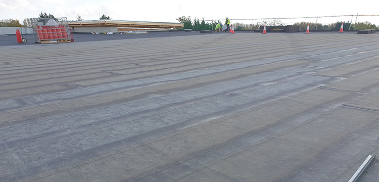 Pluvitec Commercial Green Roof Project - 800sqm Coverage