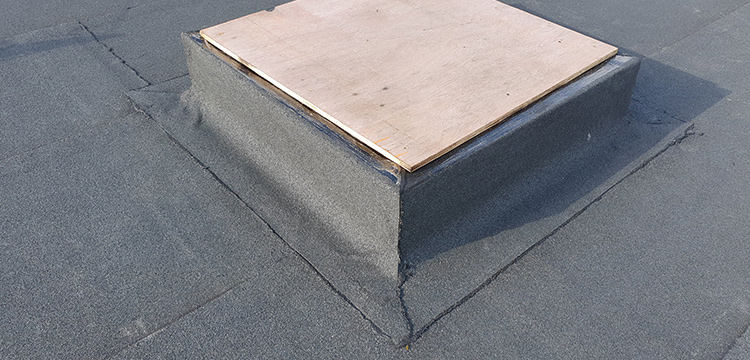 Pluvitec Commercial Green Roof Project - 800sqm Coverage