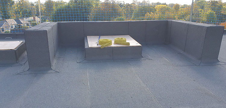 Pluvitec Commercial Green Roof Project - 800sqm Coverage
