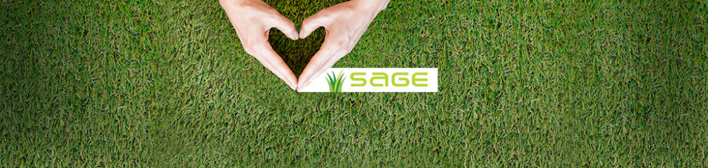 What To Consider Before Installing Artificial Grass