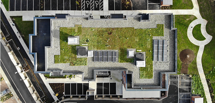 Residential Green Roof Project - The Paddocks Co. Kildare - Green Roof