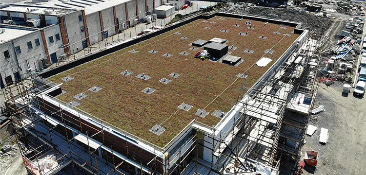 Residential Apartment Block Roof Project – Somerton